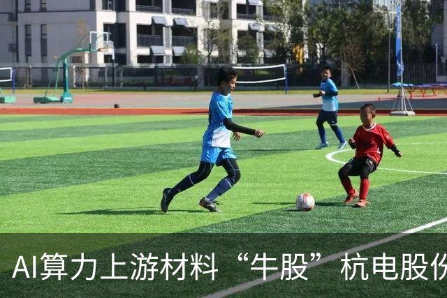 AI算力上游材料“牛股”杭电股份上半年净利同比增逾九倍，章建平新进成公司第三大股东